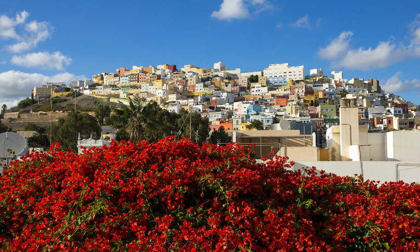 akční letenky gran canaria